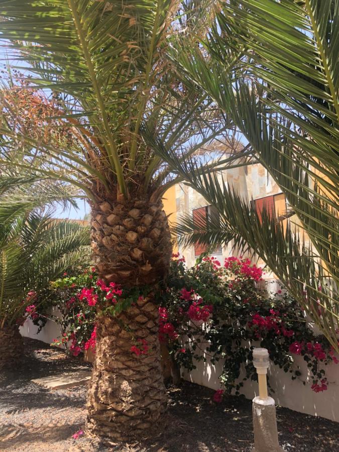 Appartement Sunny Complex Amaya Fuerteventura *
