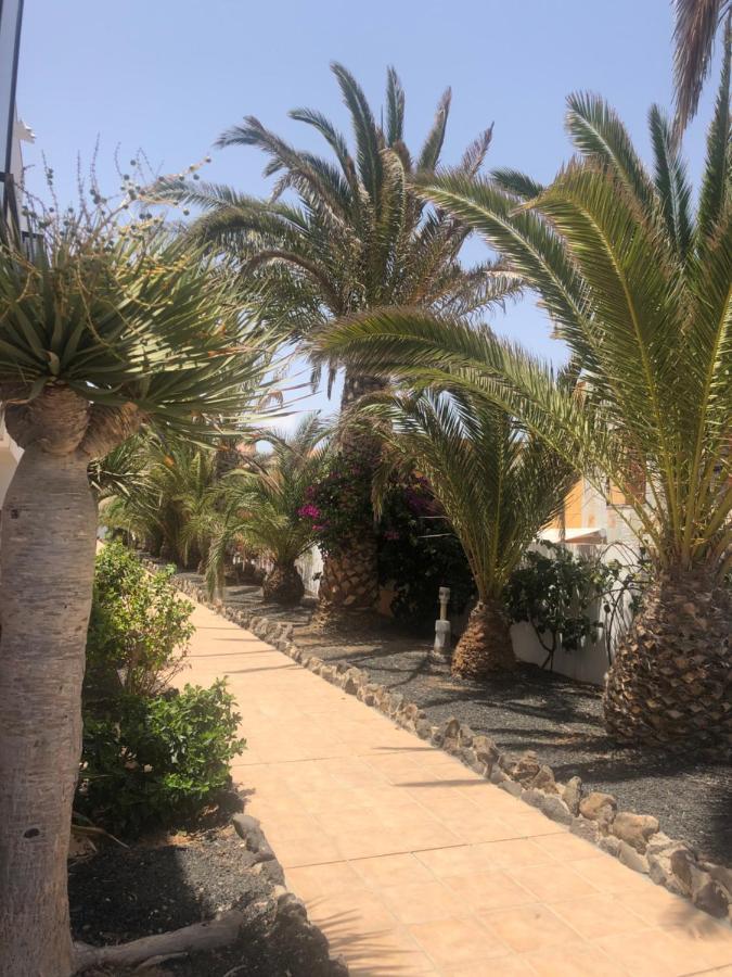 Appartement Sunny Complex Amaya Fuerteventura